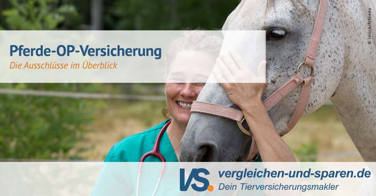 Erstaunlich R V Pferde Op Versicherung Ebenbildnull