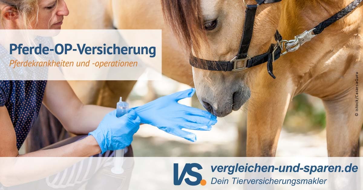 Pferde Op Versicherung österreich