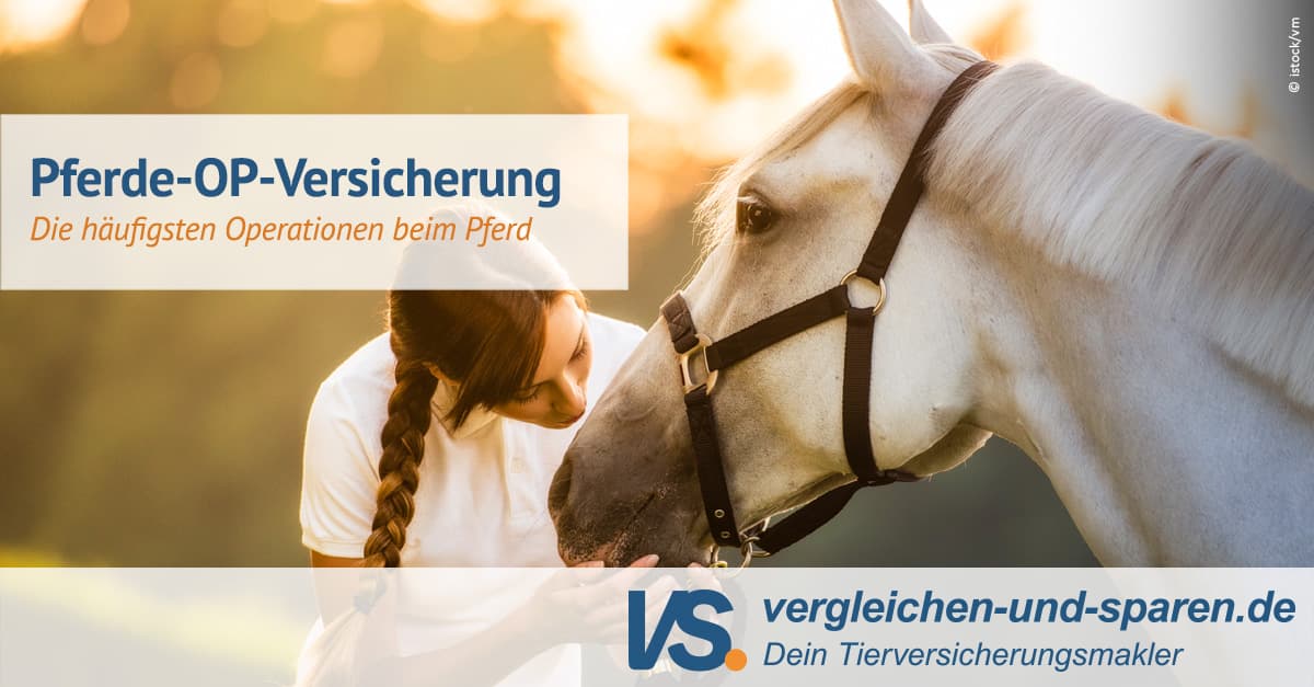 Erstaunlich R V Pferde Op Versicherung Ebenbild