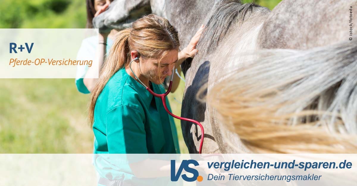 Erstaunlich R V Pferde Op Versicherung Ebenbild